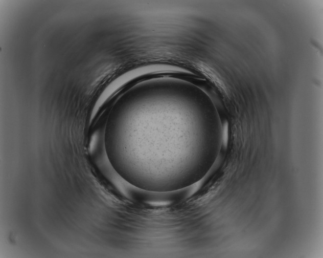 X0000091900501200709121501