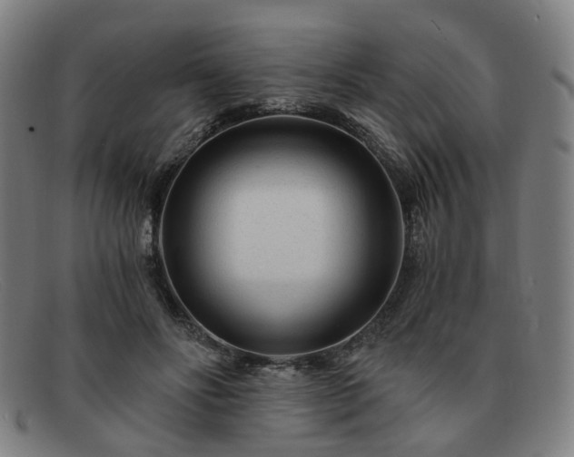 X0000091900502200709121501