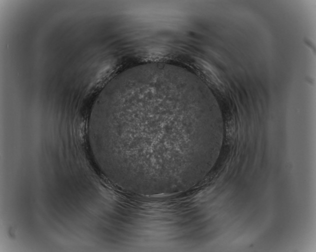 X0000091900503200709121501