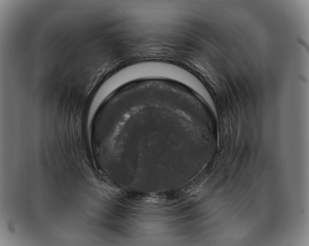 X0000091900504200709121501