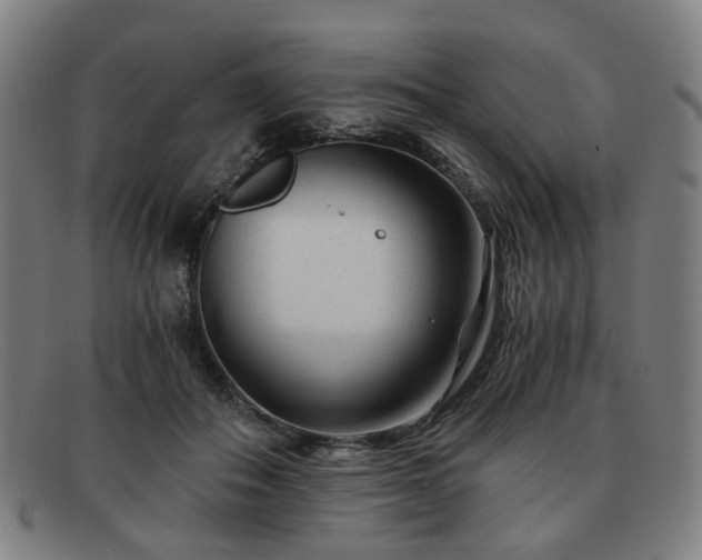 X0000091900506200709121501