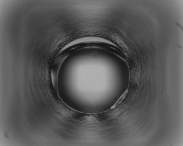 X0000091900509200709121501