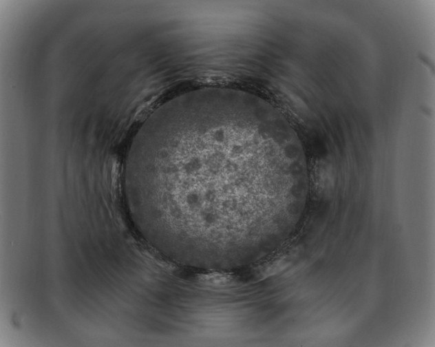 X0000091900511200709121501