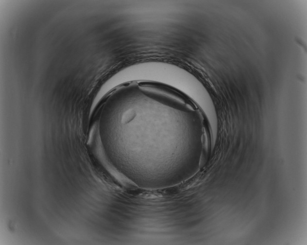 X0000091900512200709121501