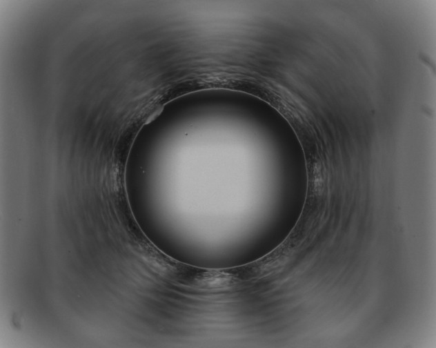 X0000091900514200709121501