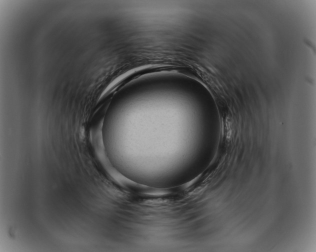 X0000091900515200709121501