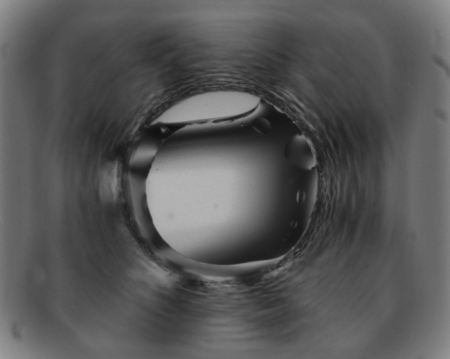 X0000091900516200709121501