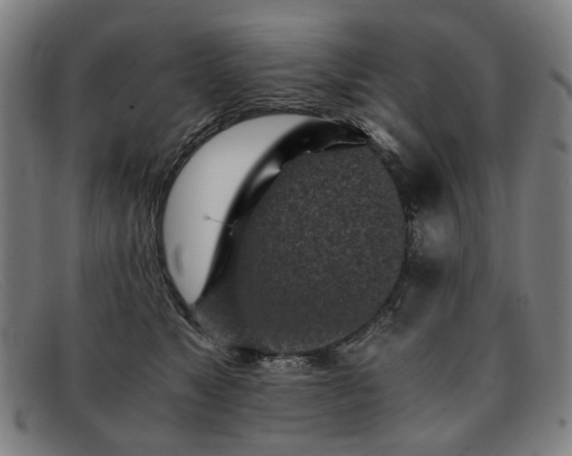 X0000091900517200709121501