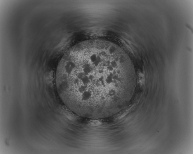 X0000091900519200709121501