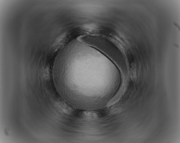 X0000091900520200709121501