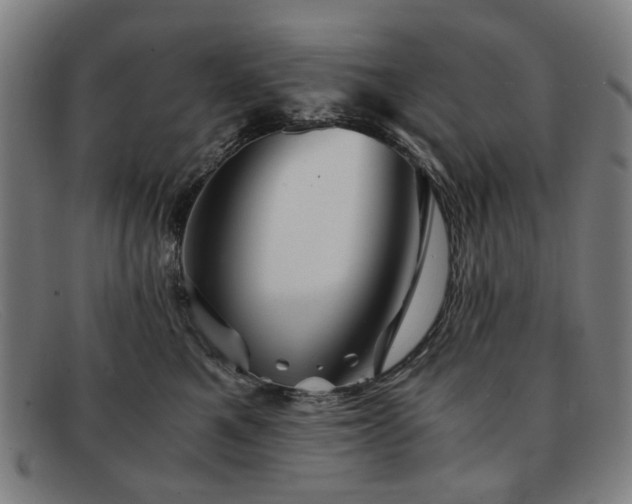 X0000091900521200709121501