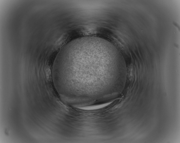 X0000091900523200709121501