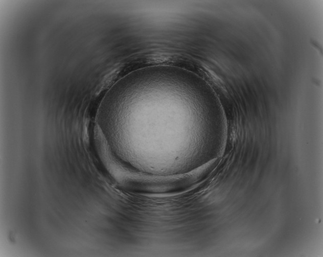 X0000091900524200709121501