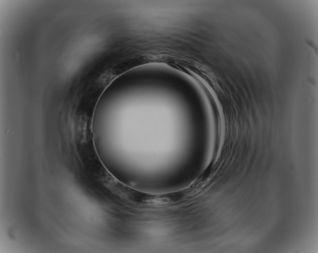 X0000091900525200709121501