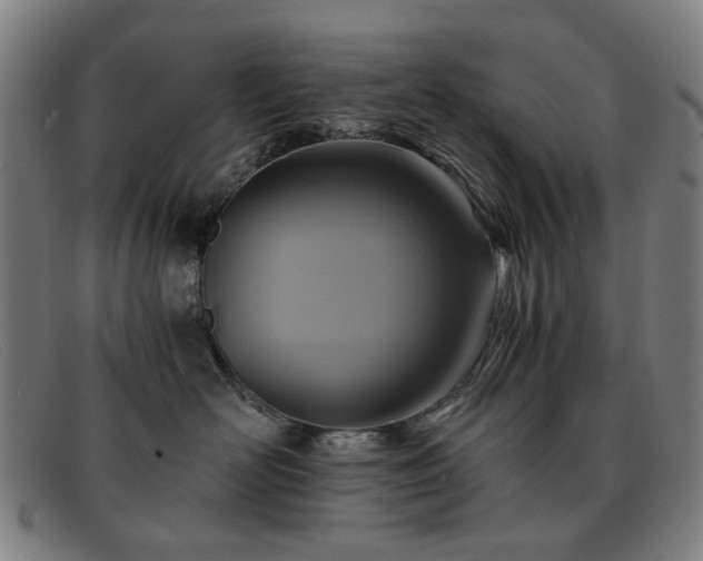 X0000091900526200709121501