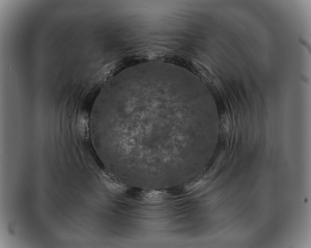 X0000091900527200709121501