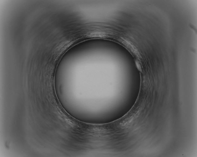 X0000091900529200709121500