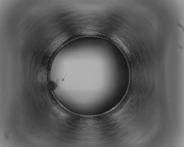 X0000091900533200709121500