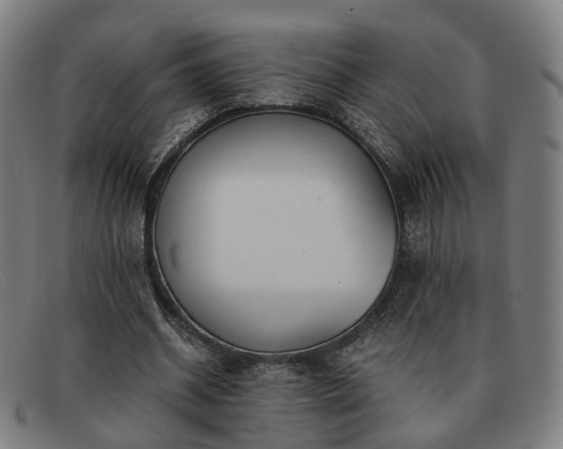 X0000091900534200709121500