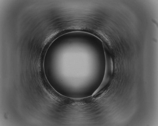 X0000091900536200709121500