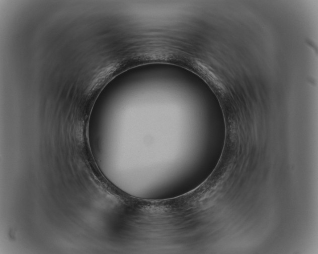 X0000091900537200709121500