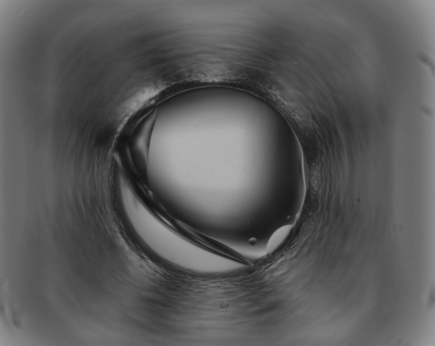 X0000091900540200709121500