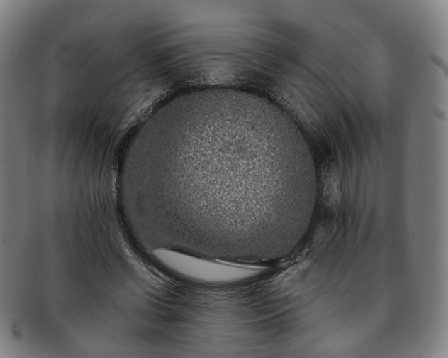 X0000091900542200709121500