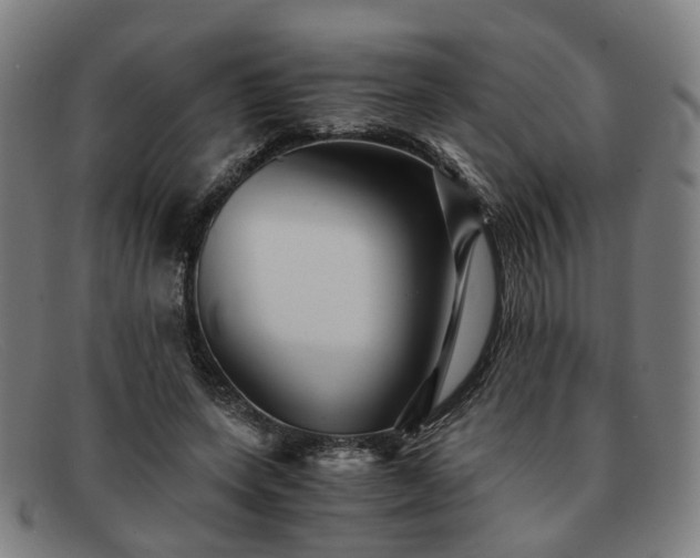 X0000091900543200709121500