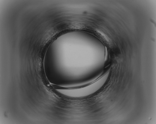 X0000091900544200709121500