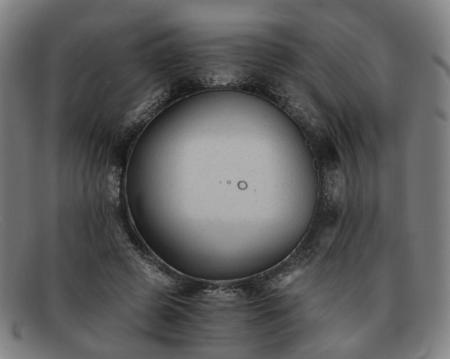 X0000091900545200709121500