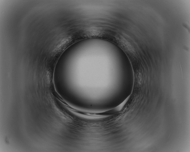 X0000091900546200709121500