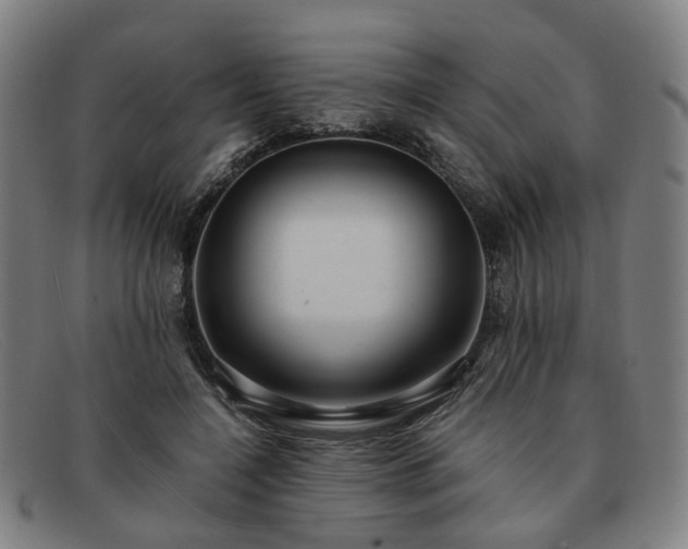 X0000091900548200709121500