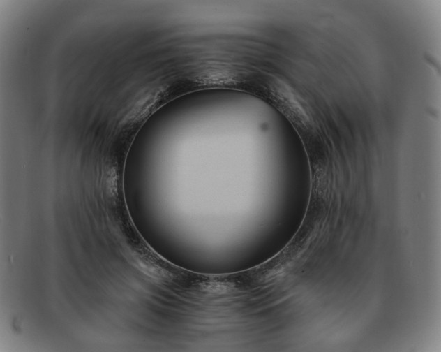 X0000091900549200709121501