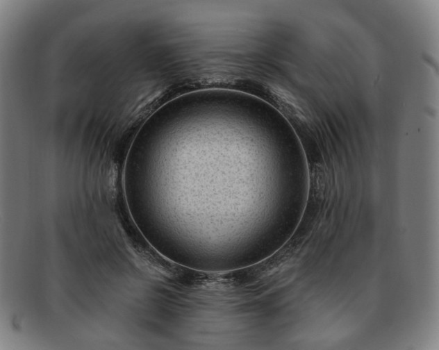 X0000091900550200709121501