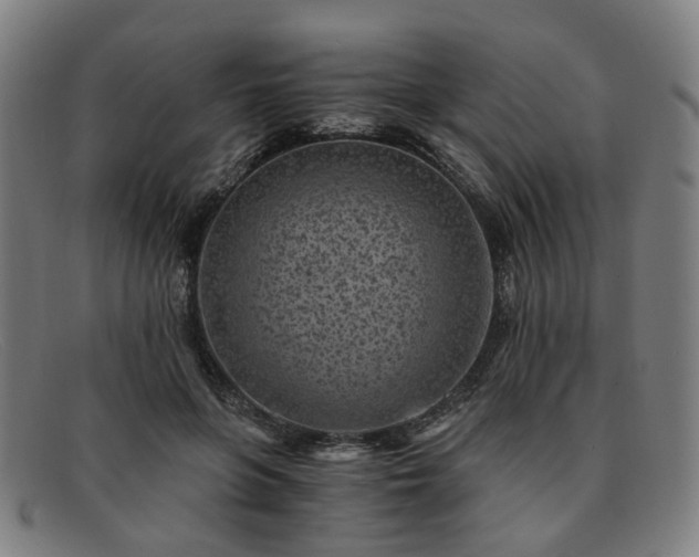 X0000091900551200709121501