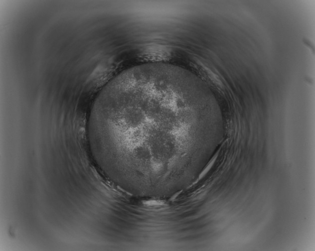 X0000091900553200709121501