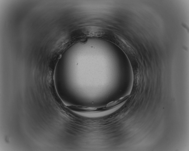 X0000091900554200709121501