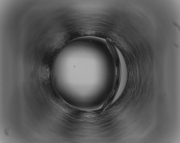 X0000091900555200709121501