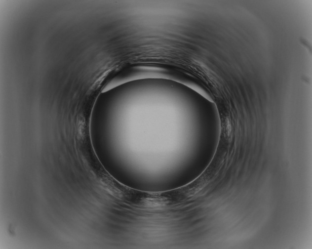 X0000091900556200709121501