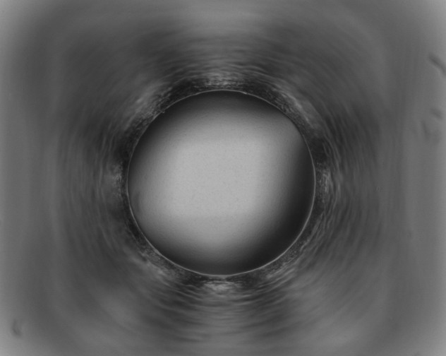 X0000091900557200709121501