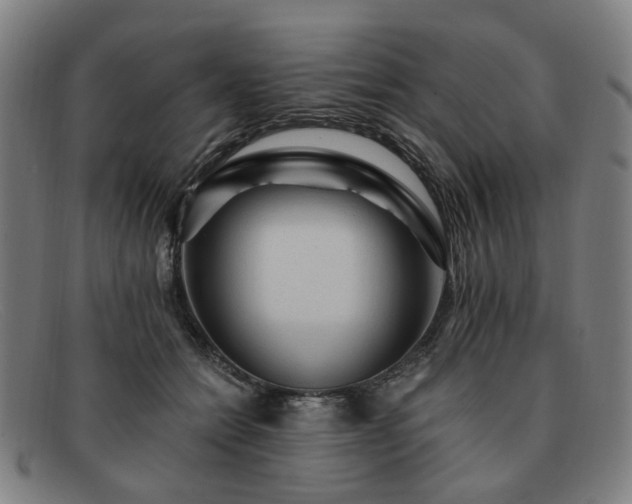 X0000091900558200709121501