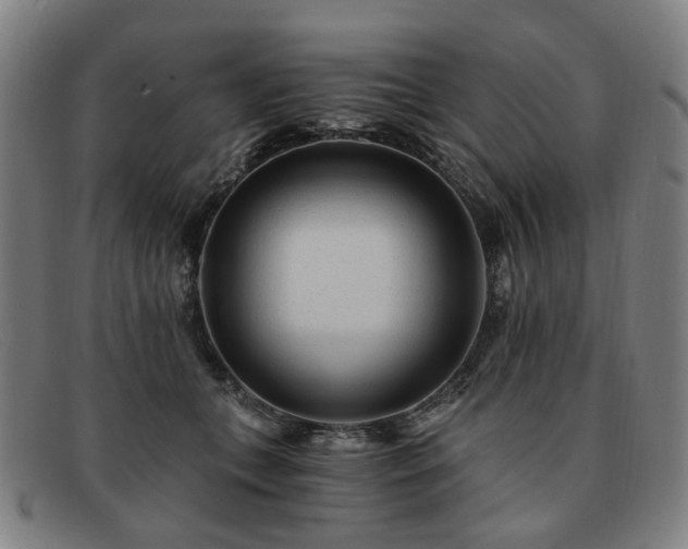 X0000091900559200709121501