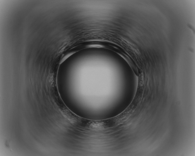 X0000091900560200709121501