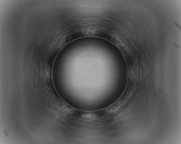 X0000091900561200709121501