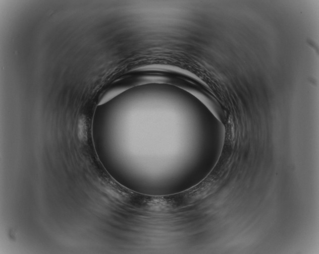 X0000091900562200709121501