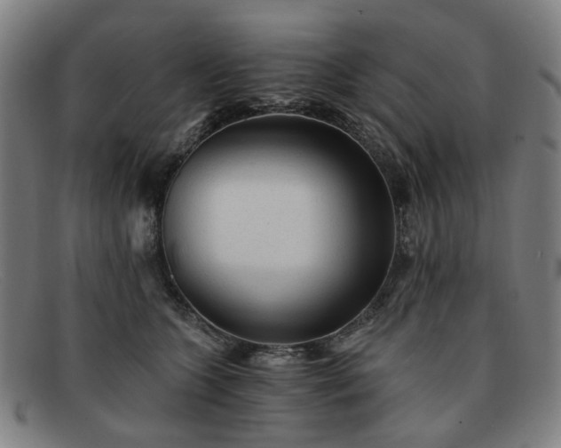 X0000091900563200709121501