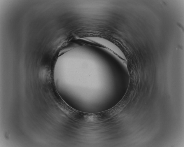 X0000091900564200709121501