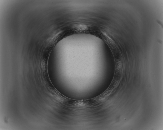 X0000091900565200709121501