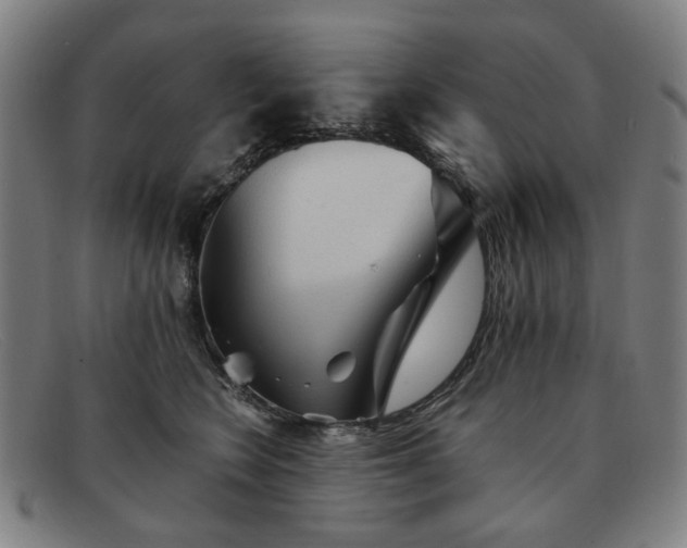 X0000091900566200709121501