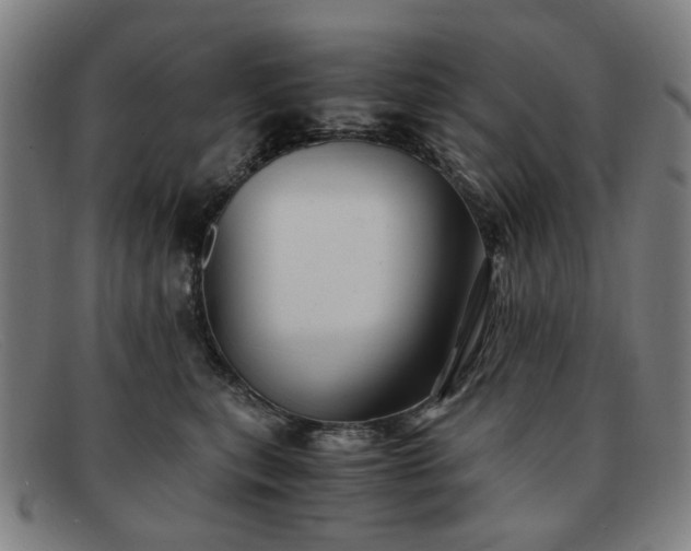 X0000091900567200709121501